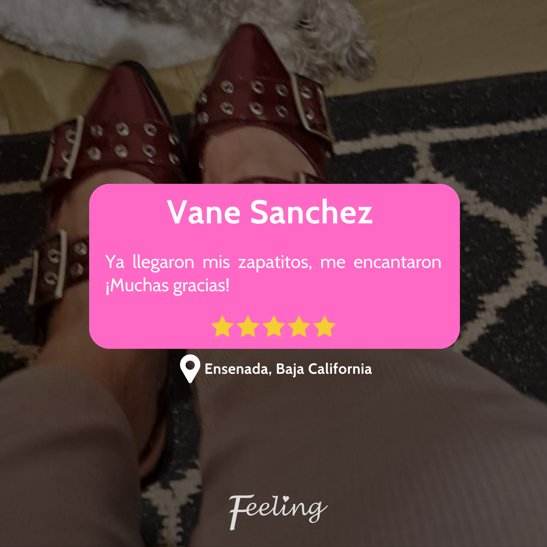 Reseña Feelingirl 1